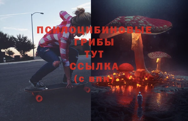 apvp Абаза